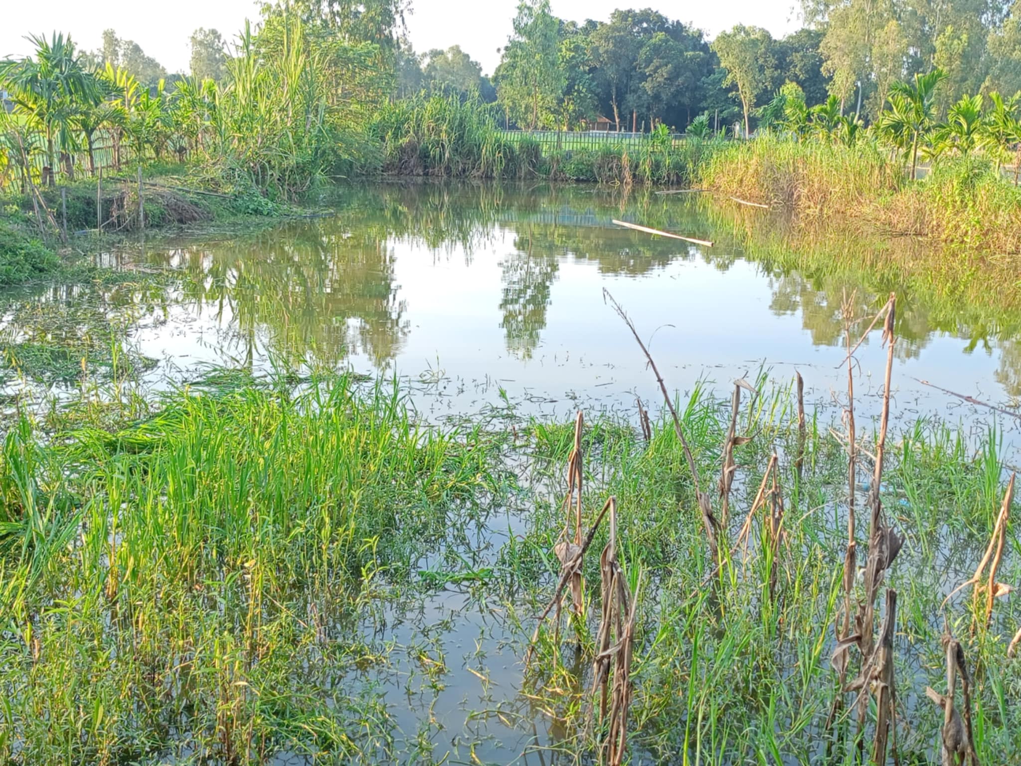 আটোয়ারীতে বাড়ির পাশে এক পুকুরে দুই শিশুর মৃত্যু 