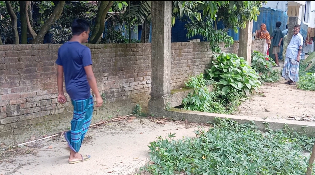 নারায়ণগঞ্জ রূপগঞ্জে কায়েতপাড়ায় ইউনিয়নে রাস্তায় ও পিলার নির্মাণ: জনদুর্ভোগে ক্ষুব্ধ খামারপাড়ার এলাকাবাসী